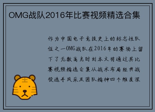 OMG战队2016年比赛视频精选合集